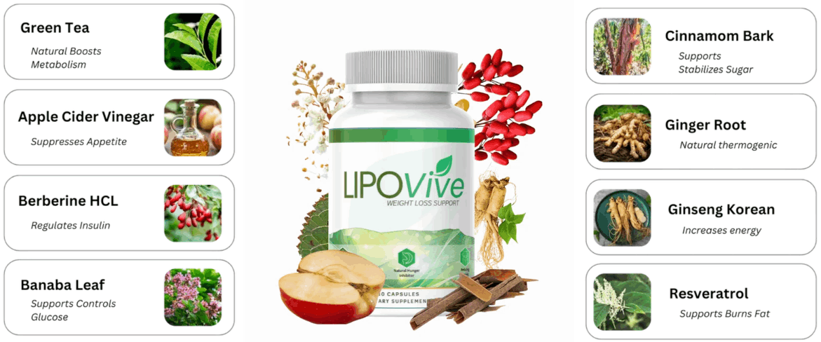 lipovive ingredients